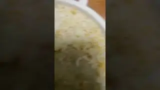 Котлеты утопают в рисе с морковкой, а рядом салат из морской капусты с зелёным горошком и морковью