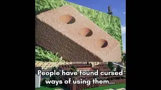 What are Microbricks?          