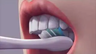 SUNSTAR GUM ORAL CARE VIDEO FRENCH