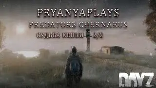 ⚠️Судьба кепки в DayZ 👧 PREDATORS PVE - CHERNARUS