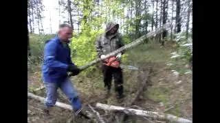 Ресторан
