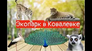 Экопарк / Зоопарк / Ковалевка/ Полтавская область / Мы в экопарке !