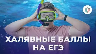 Основы гидростатики I Физика I ЕГЭ-2024