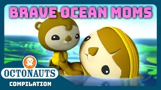 ‪@Octonauts‬