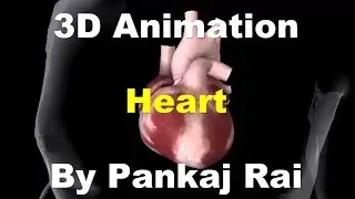 3D Animation of Structure and Function of HEART