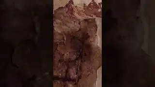 КАКАШКИ НАШИ СОСЕДИ СВЕРХУ