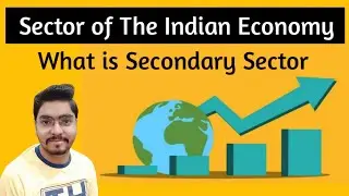 Sector of The Indian Economy Class 10 CBSE ll Secondary Sector ll Industrial Sector ll nep class
