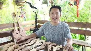 รีวิวหัวพิณแบบต่างๆ หัวพญานาค หัวหางนาค  หัวหงษ์
