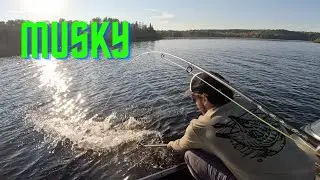 Musky Madness