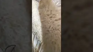 дайте хлеб 🍞🍞🍞