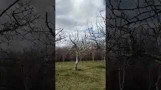22 марта 2024 г.