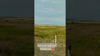 Дорога Калбатау (Георгиевка) - Семей