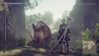 Кулинарный исследователь, Прошлое Анемоны, Пополнение боезапаса | 24 | NieR: Automata