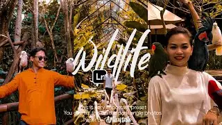 Wildlife Lightroom Preset Tutorial