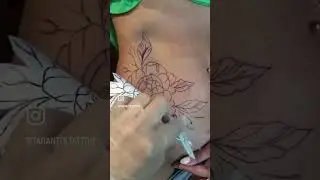 Перекрыли шрам