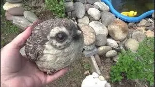 Дача. Влог. Дела дачные. В гостях. Каменный садик.