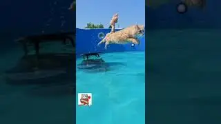 Самая Лучшая и Самая Любимая Подружка Пикселюши Катюня сказала ему что всегда его поддержит 👼🌈😻❤️😻