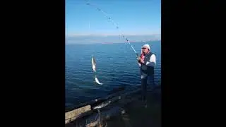 Шаланды полные кефали. Валентин Куба.