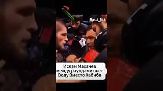 Ислам Пьет Воду Хабиба Прикол - Бой с Конором 