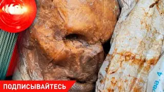 МУЖЧИНА ИСЧЕЗ, НО ПЕНСИЮ "ПОЛУЧАЛ" – В КАКОЙ ЗЕМЛЕ ЕГО НАШЛИ? Патрульные спасли девушку от суицида