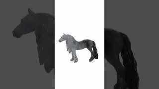 Mojo (animal planet)horses