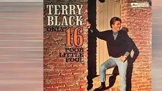 Terry Black - Unless You Care 1964