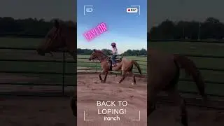 Loping 101