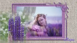 Свет первой любви сохранили люпины