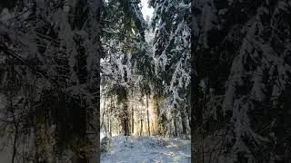 Мороз и солнце..день чудесный))