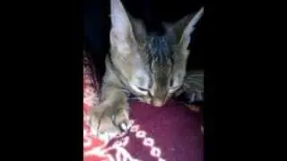 VIDEO0001