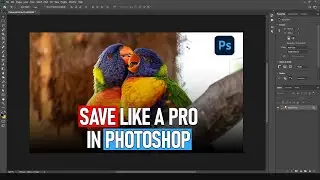 Save Like a Pro: Mastering PSD, JPEG, and PNG Formats in Photoshop