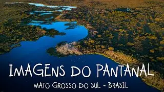 CONTEMPLATIVE Pantanal images, compilation of fauna and landscapes (with Drone) - Relaxing
