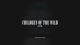 Steve Angello - Children Of The Wild | Live Edit