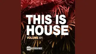 Herbie Goes Bananas (Original Mix)