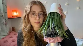 ASMR - Fluffy Brain Massage with a Plant 🪴💚