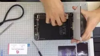 Apple iPad Mini - Замена сенсорного стекла TouchScreen и LCD-дисплея