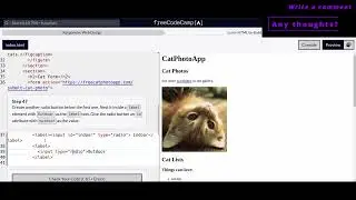 Responsive Web Design - Cat Photo App - 46,47,48