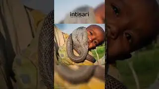 The Vadi Tribe in India, Who Lives with Snakes | 