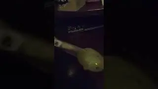 свинка пепппопа