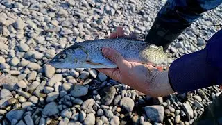 ВЫБРАЛИСЬ НА РЫБАЛКУ , НО ПОГОДА НАС ОГОРЧИЛА #рыбалка #fishing #природа #shorts #short