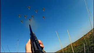 Охота на Чирка. Удачная охота на уток. Было много налетов! Осень