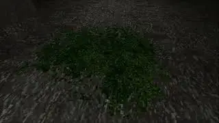 16 minutes of real-time moss in Half-Life