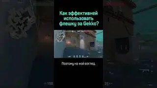 Как эффективней использовать флешку за Gekko в Valorant 