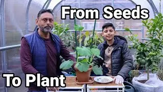 A Complete Guide For Planting Bottle Gourd - From Seeds To Plants