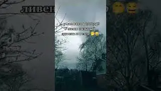 Дождливый день | Rainy day
