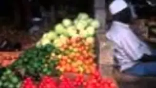 SHAMBA LIMESHAKUSHINDA