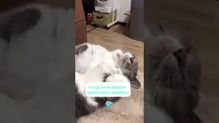 Когда приснилась работа в выходные 😂 🤓 