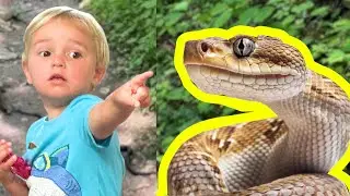 Family SNAKE ENCOUNTER !