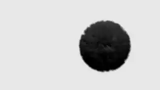 Fur Ball Mouvement Simulation - Blender Hair Particle Animation - Fur Ball Rolling Around