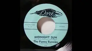 Midnight Sun - The Funny Bunnies